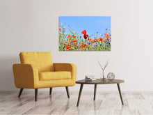 Laden Sie das Bild in den Galerie-Viewer, Leinwandbild Der Mohn in der Blumenwiese