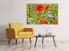 Laden Sie das Bild in den Galerie-Viewer, Leinwandbild Der wilde Mohn XL