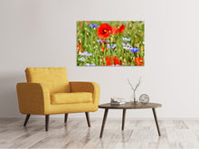 Laden Sie das Bild in den Galerie-Viewer, Leinwandbild Der wilde Mohn XL
