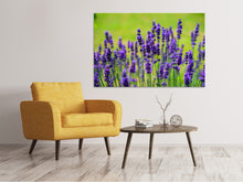 Laden Sie das Bild in den Galerie-Viewer, Leinwandbild Schöner Lavendel