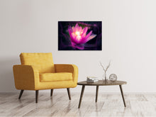 Laden Sie das Bild in den Galerie-Viewer, Leinwandbild Lilie im Lichterspiel