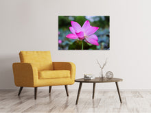 Laden Sie das Bild in den Galerie-Viewer, Leinwandbild Wunderschöne Lotus