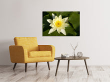 Laden Sie das Bild in den Galerie-Viewer, Leinwandbild Die Wasserlilie in gelb