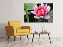Laden Sie das Bild in den Galerie-Viewer, Leinwandbild Die Seerose in pink