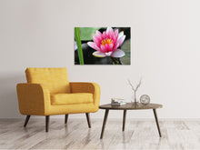 Laden Sie das Bild in den Galerie-Viewer, Leinwandbild Die Seerose in pink