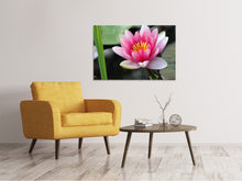 Laden Sie das Bild in den Galerie-Viewer, Leinwandbild Die Seerose in pink
