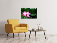 Laden Sie das Bild in den Galerie-Viewer, Leinwandbild Lotus in der Natur