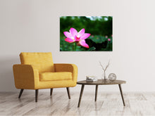 Laden Sie das Bild in den Galerie-Viewer, Leinwandbild Lotus in der Natur