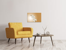Laden Sie das Bild in den Galerie-Viewer, Leinwandbild Weisse Orchideen XL