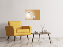 Laden Sie das Bild in den Galerie-Viewer, Leinwandbild Weisse Orchideen XL