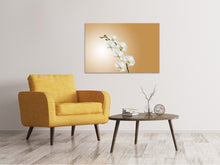 Laden Sie das Bild in den Galerie-Viewer, Leinwandbild Weisse Orchideen XL