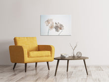 Laden Sie das Bild in den Galerie-Viewer, Leinwandbild Anmutige Orchideen