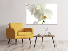 Laden Sie das Bild in den Galerie-Viewer, Leinwandbild Orchideen Blüte