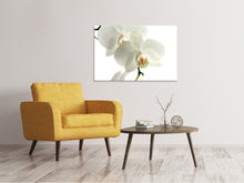 Laden Sie das Bild in den Galerie-Viewer, Leinwandbild Orchideen Blüte