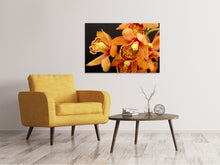 Laden Sie das Bild in den Galerie-Viewer, Leinwandbild Orchideen mit orangen Blüten