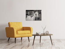 Laden Sie das Bild in den Galerie-Viewer, Leinwandbild Da steht ein Pferd