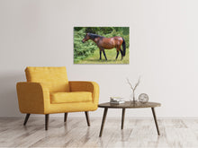 Laden Sie das Bild in den Galerie-Viewer, Leinwandbild Kräftiges Pferd