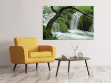 Laden Sie das Bild in den Galerie-Viewer, Leinwandbild Im Nationalpark