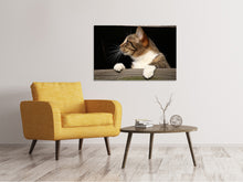 Laden Sie das Bild in den Galerie-Viewer, Leinwandbild XL Katze