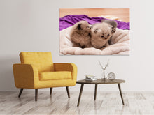 Laden Sie das Bild in den Galerie-Viewer, Leinwandbild Kitten Trio zum Verlieben