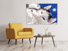 Laden Sie das Bild in den Galerie-Viewer, Leinwandbild Süsses Kitten