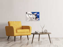 Laden Sie das Bild in den Galerie-Viewer, Leinwandbild Süsses Kitten