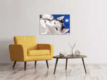 Laden Sie das Bild in den Galerie-Viewer, Leinwandbild Süsses Kitten
