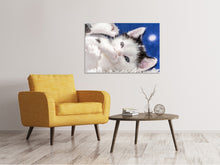 Laden Sie das Bild in den Galerie-Viewer, Leinwandbild Süsses Kitten