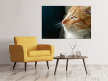 Laden Sie das Bild in den Galerie-Viewer, Leinwandbild Kitten Nase