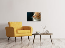 Laden Sie das Bild in den Galerie-Viewer, Leinwandbild Kitten Nase