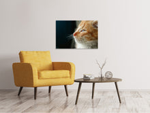 Laden Sie das Bild in den Galerie-Viewer, Leinwandbild Kitten Nase