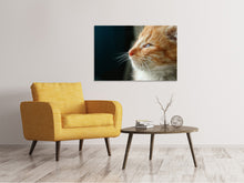 Laden Sie das Bild in den Galerie-Viewer, Leinwandbild Kitten Nase