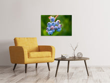 Laden Sie das Bild in den Galerie-Viewer, Leinwandbild Heidelbeeren in der Natur