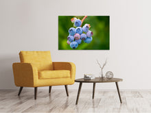 Laden Sie das Bild in den Galerie-Viewer, Leinwandbild Heidelbeeren in der Natur