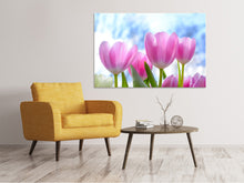Laden Sie das Bild in den Galerie-Viewer, Leinwandbild Tulpen in der Natur