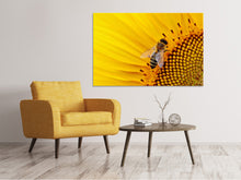 Laden Sie das Bild in den Galerie-Viewer, Leinwandbild Biene auf der Sonnenblume