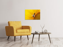 Laden Sie das Bild in den Galerie-Viewer, Leinwandbild Biene auf der Sonnenblume