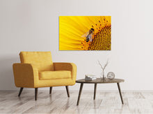 Laden Sie das Bild in den Galerie-Viewer, Leinwandbild Biene auf der Sonnenblume