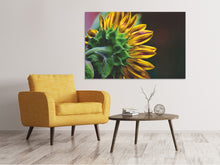 Laden Sie das Bild in den Galerie-Viewer, Leinwandbild Sonnenblume Close up