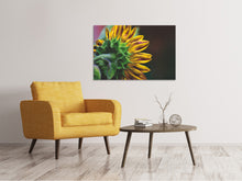 Laden Sie das Bild in den Galerie-Viewer, Leinwandbild Sonnenblume Close up