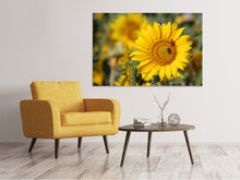 Laden Sie das Bild in den Galerie-Viewer, Leinwandbild Bienen bei der Arbeit