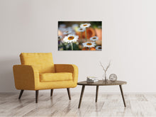 Laden Sie das Bild in den Galerie-Viewer, Leinwandbild Margeriten XL
