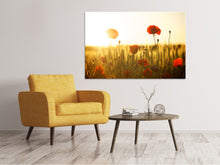 Laden Sie das Bild in den Galerie-Viewer, Leinwandbild Mohn im Sonnenuntergang