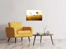 Laden Sie das Bild in den Galerie-Viewer, Leinwandbild Mohn im Sonnenuntergang