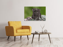 Laden Sie das Bild in den Galerie-Viewer, Leinwandbild 2 schwarze Katzenbabys