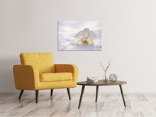 Laden Sie das Bild in den Galerie-Viewer, Leinwandbild Die Orchideen Blüte