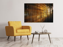 Laden Sie das Bild in den Galerie-Viewer, Leinwandbild Bäume in Sonnenstrahlen