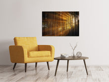 Laden Sie das Bild in den Galerie-Viewer, Leinwandbild Bäume in Sonnenstrahlen