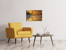 Laden Sie das Bild in den Galerie-Viewer, Leinwandbild Romantische Stimmung im Wald