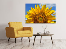 Laden Sie das Bild in den Galerie-Viewer, Leinwandbild Sonnenblume in XXL